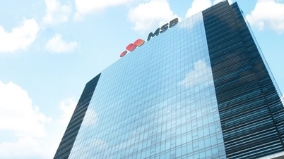 MSB chuyển địa điểm hoạt động Chi nhánh Thanh Xuân và Quảng Ngãi