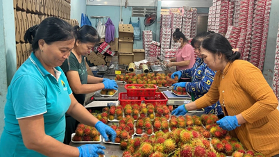 Vĩnh Long: Phát triển sản phẩm OCOP từ đặc sản địa phương