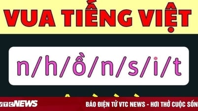 Câu đố Tiếng Việt đơn giản nhưng 90% người trả lời sai