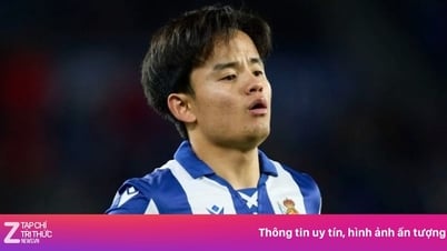 Châu Âu 'dậy sóng' vì Kubo