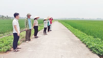 Nỗ lực giải phóng mặt bằng Khu công nghiệp Phúc Sơn