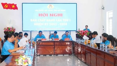 An Giang Provincial Labor Federation announces key personnel