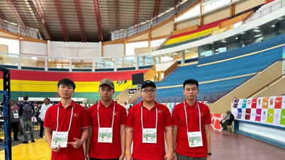 Việt Nam lọt top 8 Olympic Tin học quốc tế (IOI) năm 2025