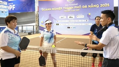 Trọng tài pickleball Đà Nẵng đạt chuẩn châu Á, sẵn sàng cầm còi quốc tế