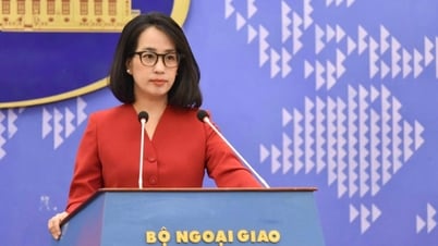 Bộ Ngoại giao thông tin về hoạt động tìm kiếm và kiểm kê quân nhân Hoa Kỳ mất tích trong chiến tranh ở Việt Nam