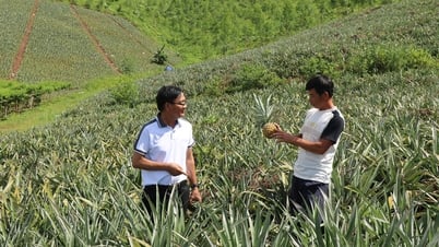 Về Đồng Cống nghe đất chuyển mình