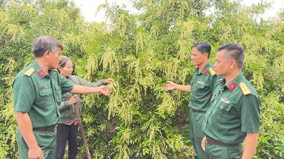 Quân, dân nỗ lực phát triển vùng biên Đắk Lắk