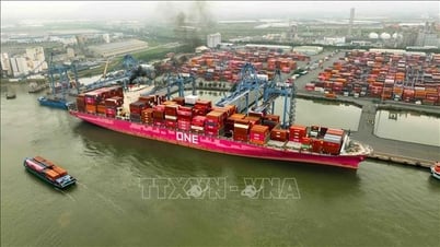 Bộ Công Thương thông tin về đàm phán thương mại đối ứng giữa Việt Nam và Hoa Kỳ