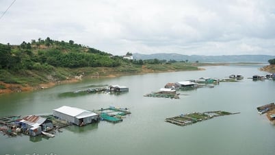 Nổi trôi làng chài dưới chân cầu Đắk Hyeo (Kỳ 1)