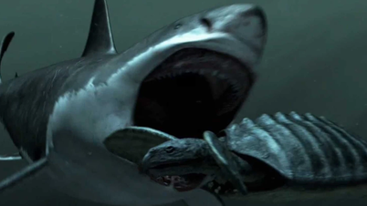 Hé lộ sức mạnh kinh hoàng của cá mập Megalodon khổng lồ tuyệt chủng