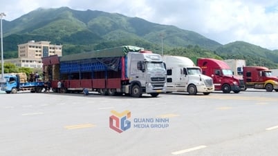  Xã Quảng Đức phấn đấu vượt kế hoạch thu ngân sách