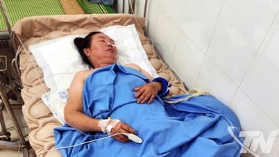 Xã Đồng Phúc: 01 trường hợp mắc bệnh viêm não Nhật Bản B