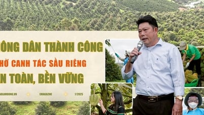 Nông dân gặt hái thành công nhờ canh tác sầu riêng theo hướng an toàn, bền vững