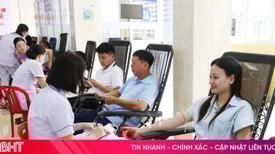 El sector salud recogió 187 unidades de sangre del programa de donación voluntaria de sangre.