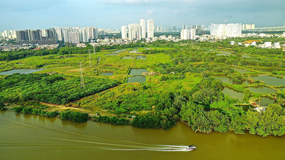 Hai đại gia mới cho Quốc Cường Gia Lai vay 230 tỉ đồng là ai?