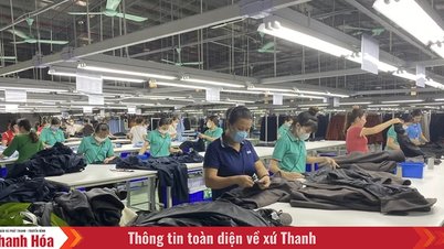 Doanh nghiệp may mặc hướng đến chuyển đổi xanh