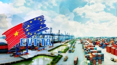 Hiệp định EVFTA: Hành trình 5 năm thực thi và những kết quả tích cực cho thương mại song phương