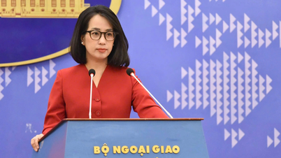 Việt Nam lên tiếng trước tin xuyên tạc về tìm kiếm quân nhân Mỹ mất tích