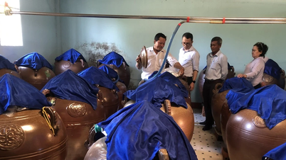 Sản phẩm OCOP: Cần quan tâm khâu đánh giá và hậu kiểm