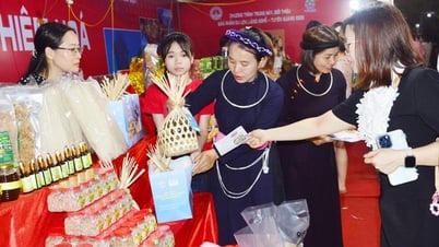 Tuyên Quang: "Chắp cánh" cho các sản phẩm OCOP vươn xa