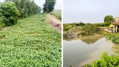 Bắc Ninh: Khơi thông dòng chảy trên hệ thống kênh mương
