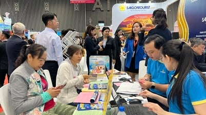 Việt Nam đẩy mạnh kết nối thương mại và đa dạng hóa thị trường xuất khẩu