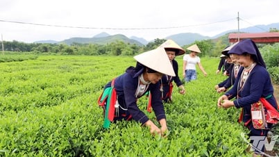 Sức sống mới ở Đồng Muốn