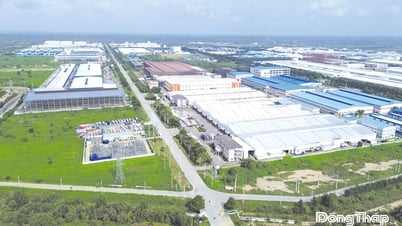 Đồng Tháp: Khai thác lợi thế, thúc đẩy phát triển công nghiệp