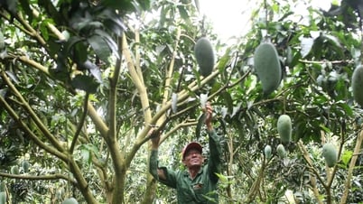Ứng dụng khoa học - công nghệ trong sản xuất nông nghiệp