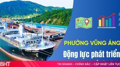 Infographic: Phường Vũng Áng - động lực phát triển kinh tế Hà Tĩnh