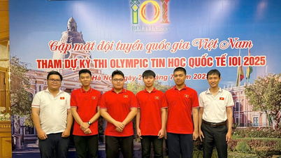 Việt Nam giành 4 huy chương tại Olympic Tin học quốc tế 2025