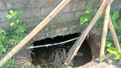 Cần sớm khắc phục hố sụt lún sâu tại thôn 4, xã Quang Bình