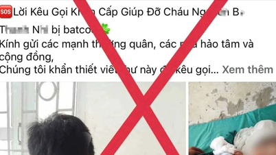 Cảnh báo thủ đoạn đưa tin bắt cóc trẻ em, chiếm đoạt tài sản