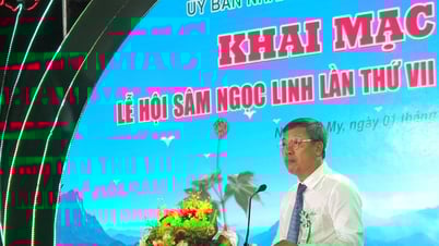 Lễ hội sâm Ngọc Linh lần thứ VII năm 2025: Tôn vinh loại dược liệu quý hiếm và văn hóa người dân bản địa