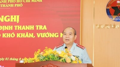 TP HCM thanh tra 94 công trình, dự án hiệu quả thấp, nguy cơ gây thất thoát, lãng phí