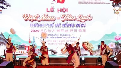 Lễ hội Việt Nam - Hàn Quốc tại thành phố Đà Nẵng