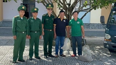 Rái cá quý hiếm 'đi lạc' vào doanh trại bộ đội biên phòng