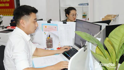 Làm hồ sơ đất đai phi địa giới hành chính