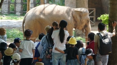 Hàng ngàn người 'chen chân' ở Thảo Cầm Viên lễ Giỗ tổ Hùng Vương