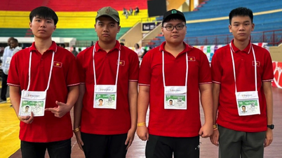Nam sinh lớp 10 ở Lâm Đồng giành huy chương bạc Olympic Tin học quốc tế