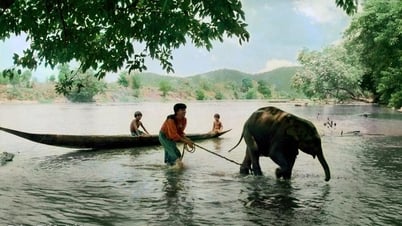 Con voi và những di sản văn hóa của dân tộc M’nông