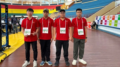 Học sinh Việt Nam đạt 4 huy chương Olympic Tin học quốc tế năm 2025
