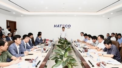 Hateco Group proposes to participate in some industrial park, urban and inland port projects in Hai Phong