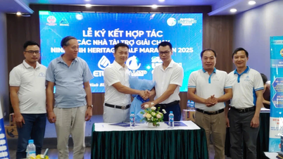 Hơn 3.700 vận động viên sẽ chạy giữa lòng di sản Ninh Bình