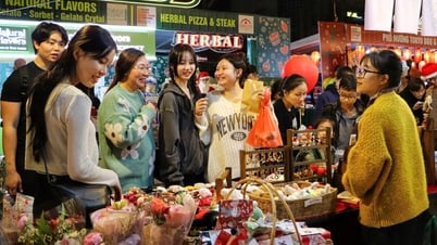 Đà Nẵng cán mốc 1 triệu lượt khách du lịch Hàn Quốc trong năm 2025