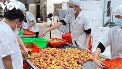 Bộ Công Thương: Thuế đối ứng Mỹ dành cho Việt Nam là 20% - Báo Cao Bằng điện tử