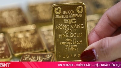 Giá vàng miếng vượt 123 triệu đồng