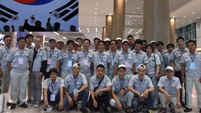 Quy định của Hàn Quốc đối với lao động có trình độ chuyên môn kỹ thuật