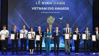Vietnam ESG Awards và hành trình lan tỏa giá trị bền vững