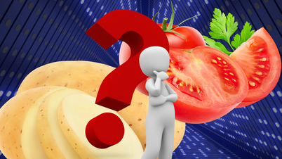 Interesting discovery: The ancestor of potatoes is... tomatoes